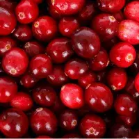 cranberries