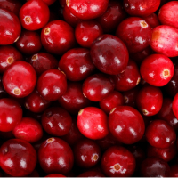 cranberries