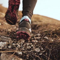 Un/e coureur de trail dont on ne voit que les chaussures de dos