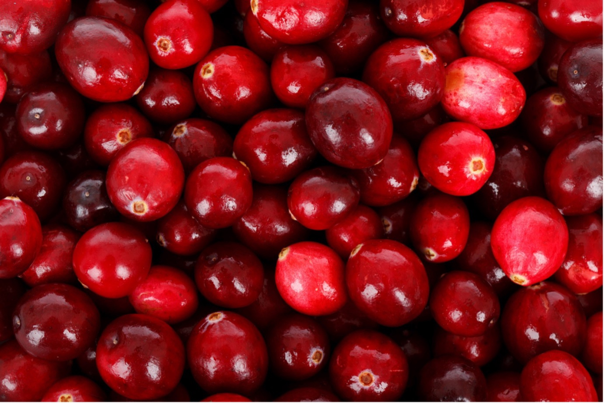 Can cranberries help prevent urinary tract infections? Cochrane